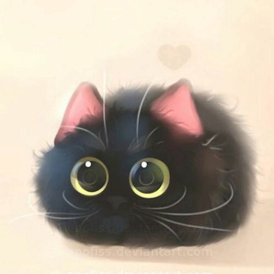 Котик 4